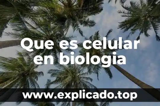Que es una pregunta y tipos de preguntas 4 Que es celular en biologia