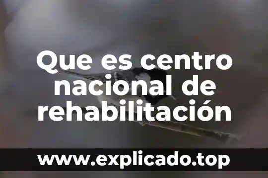 Qué es la jornada nacional de los jóvenes 7 Que es centro nacional de rehabilitación