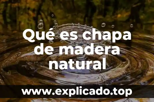 Que es la funcion exponente natural 8 Qué es chapa de madera natural