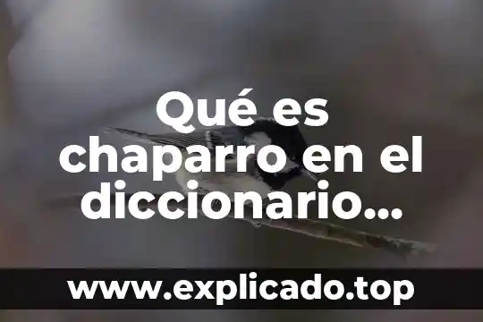 Que es imputado en derecho penal colombiano 3 Qué es chaparro en el diccionario colombiano