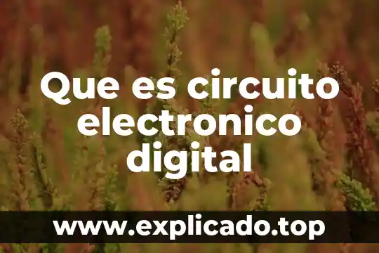 Que es y como se emplea un circuito electronico 8 Que es circuito electronico digital