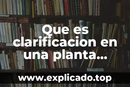 Que es sintomas caracteristicos 4 Que es clarificacion en una planta potabilizadora