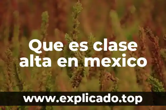 Que es el plan de alta en enfermeria 5 Que es clase alta en mexico