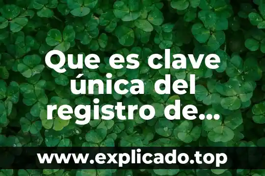 Que es una clave de sesion en seguridad informatica 3 Que es clave única del registro de población