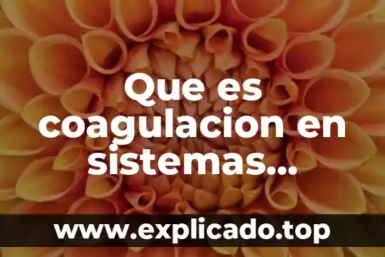 Que es cua en sistemas 3 Que es coagulacion en sistemas terciarios