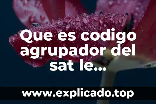 Que es contaduria electronica sat 4 Que es codigo agrupador del sat le correposnde activo