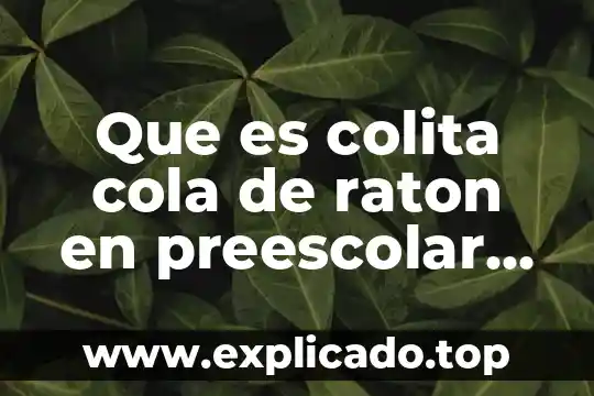 Que es sistema penal acusatorio en puebla 4 Que es colita cola de raton en preescolar mexico puebla
