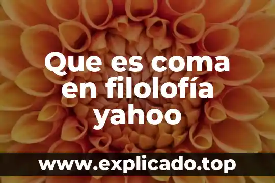 Para que es el punto y coma yahoo 7 Que es coma en filolofía yahoo