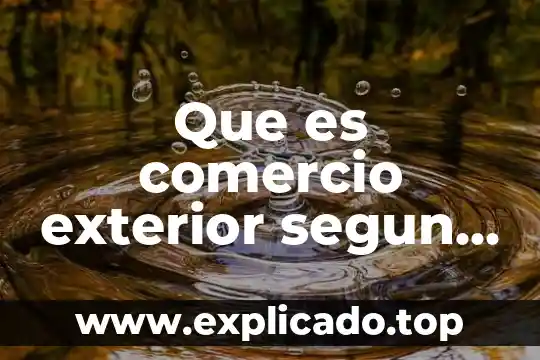 Que es miscelanea del comercio exterior 5 Que es comercio exterior segun autores
