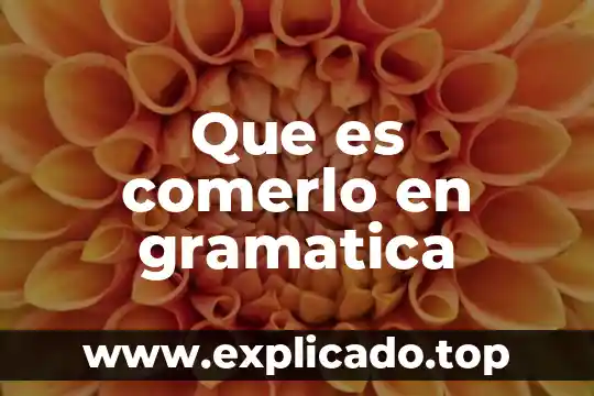 Que es la gramatica segun algun autor 3 Que es comerlo en gramatica