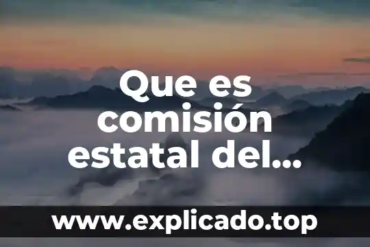 Que es comisión estatal del agua