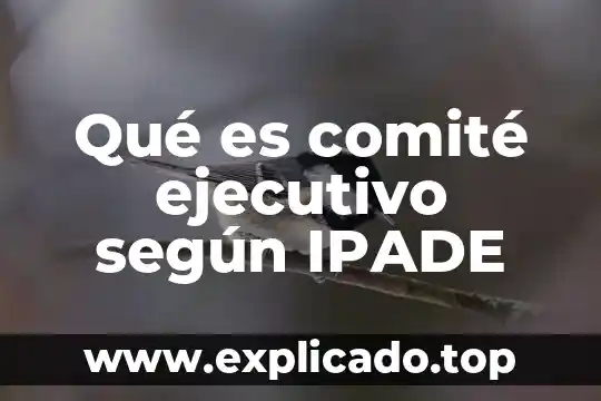 Que es un resumen ejecutivo financiero 6 Qué es comité ejecutivo según IPADE