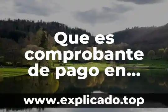 Para que es comprobante fiscal donativo cruz roja 4 Que es comprobante de pago en contabilidad