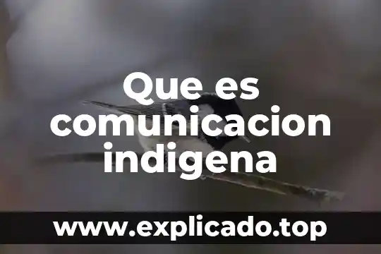 Que es apocaliptico comunicacion 6 Que es comunicacion indigena