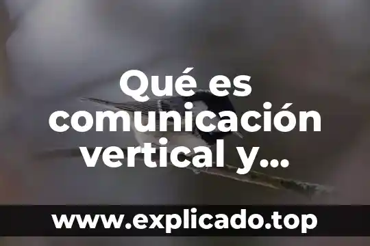 Que es una reflexión vertical en funcion racional 6 Qué es comunicación vertical y horizontal