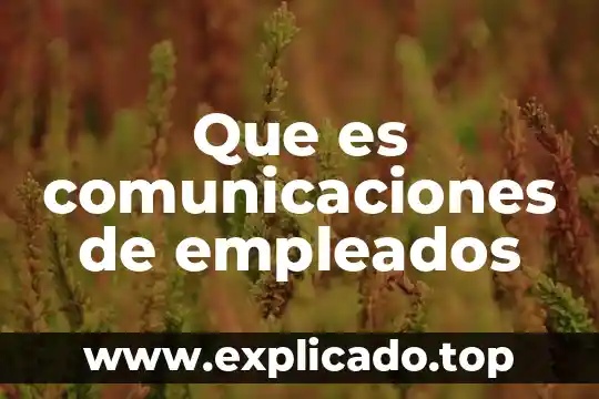 Que es comunicaciones de empleados