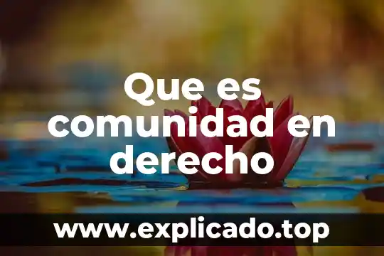 Que es el agua declorada 7 Que es comunidad en derecho