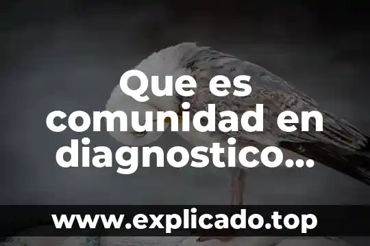 Qué es el saneamiento básico familiar y comunitario 8 Que es comunidad en diagnostico comunitario