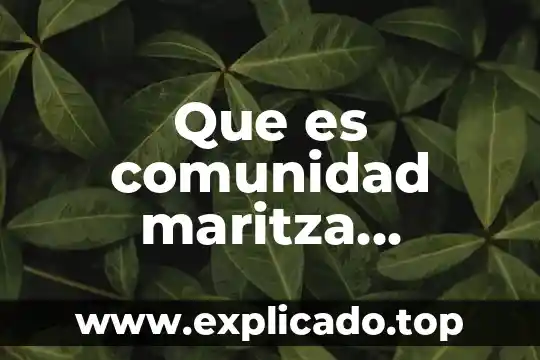 Qué es la comunidad educativa en panamá 5 Que es comunidad maritza montero