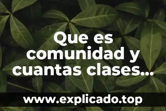 Que es comunidad y cuantas clases hay