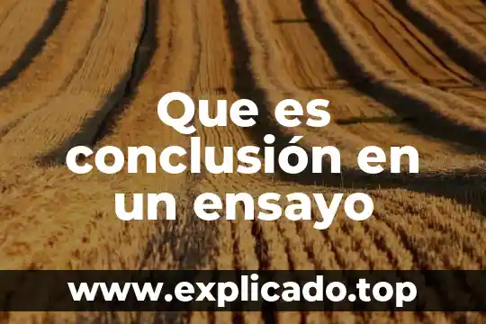 Conclusión digital que es 5 Que es conclusión en un ensayo