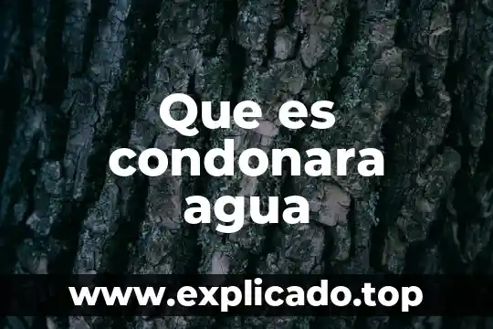 Que es condonara agua
