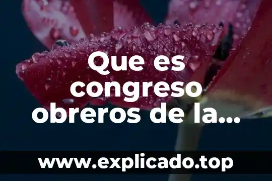 Que es republica en derecho romano 5 Que es congreso obreros de la republica mexicana