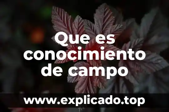 Campo esteril desechable que es 4 Que es conocimiento de campo