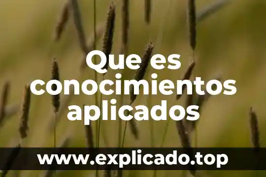 Que es una la tesis con fines aplicados 4 Que es conocimientos aplicados
