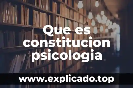 Qué es paranoide en psicología 6 Que es constitucion psicologia