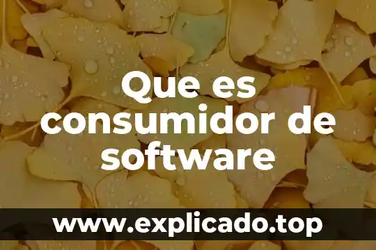 Consultoria de servicios de software que es 4 Que es consumidor de software