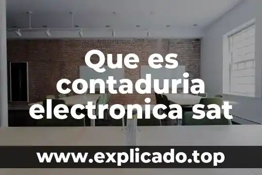 Que es codigo agrupador del sat le correposnde activo 8 Que es contaduria electronica sat