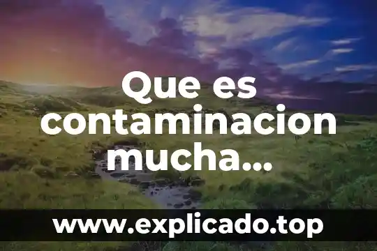 Que es contaminacion mucha informacion