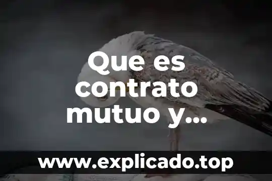 Que es el contrato mutuo 5 Que es contrato mutuo y caracteristicas