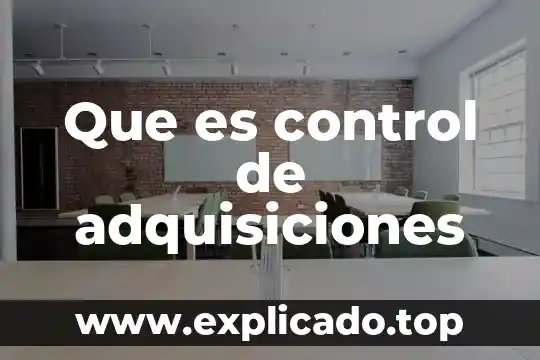 Qué es un programa anual de adquisiciones 3 Que es control de adquisiciones