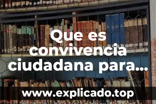 Que es formacion ciudadana y para que sirve 3 Que es convivencia ciudadana para niños
