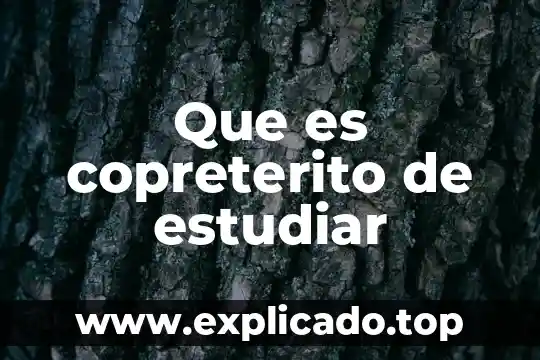 Ensayo de que es estudiar 5 Que es copreterito de estudiar