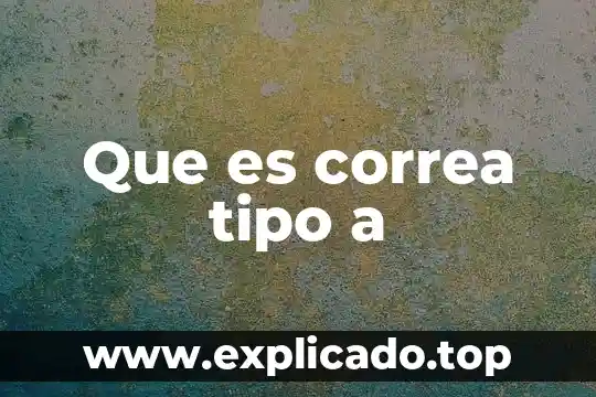 Que es un refrigerador tipo armario horizontal 6 Que es correa tipo a