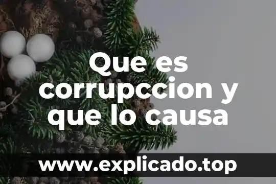 Que es la legitimacion de la causa 6 Que es corrupccion y que lo causa