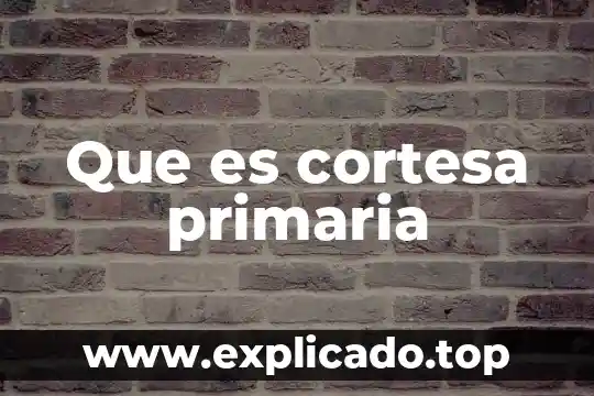 Qué es significa primaria 7 Que es cortesa primaria