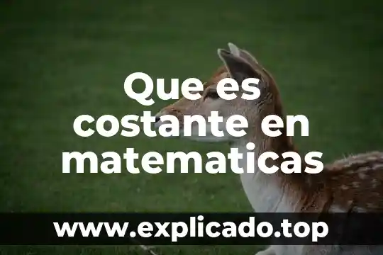 Qué es el producto en matemáticas ejemplos 4 Que es costante en matematicas