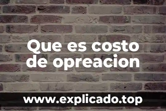 Que es el costo liquido 7 Que es costo de opreacion