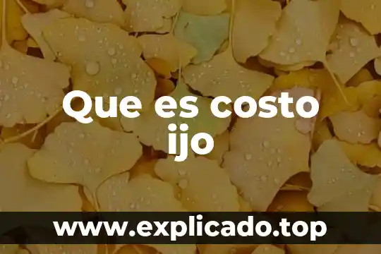Que es el costo liquido 5 Que es costo ijo