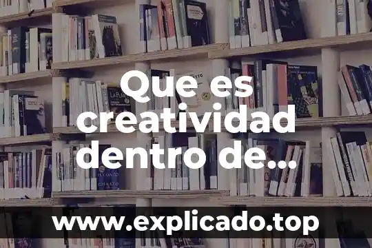 Que es la creatividad primaria y secundaria 6 Que es creatividad dentro de capacitación para el trabajo