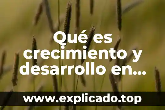 Que es isi en economia 8 Qué es crecimiento y desarrollo en economía