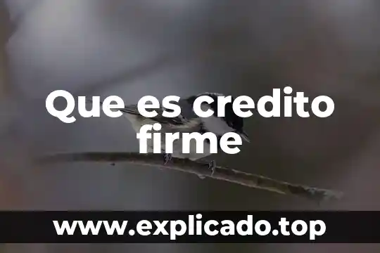Qué es crédito avios 7 Que es credito firme