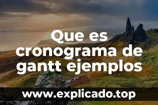 Para que es importante la grafica de gantt 8 Que es cronograma de gantt ejemplos
