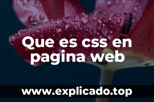 Bando de ancha en pagina web que es 6 Que es css en pagina web