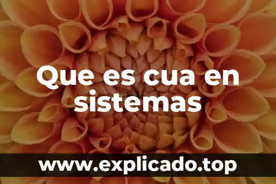 Sistemas epoxicos que es 3 Que es cua en sistemas