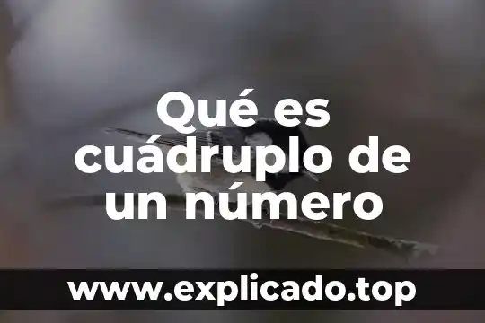 Qué es cuádruplo de un número